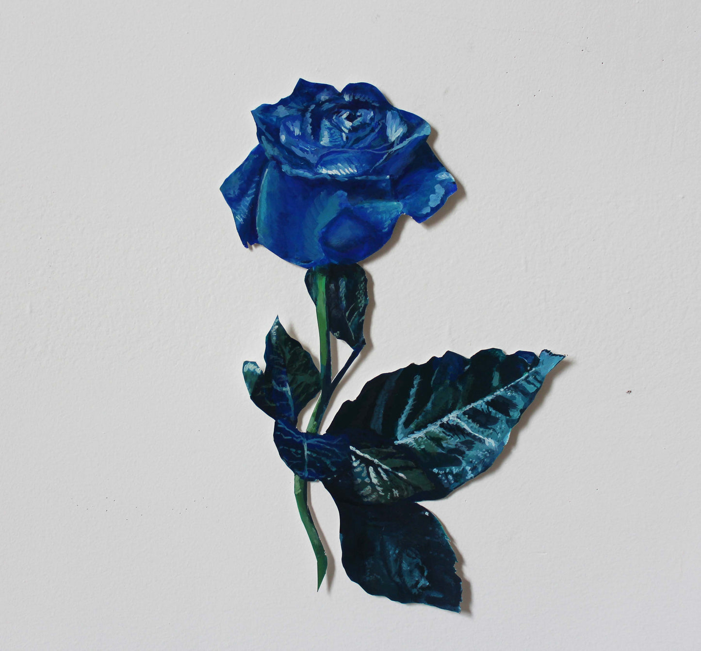 Blue Rose